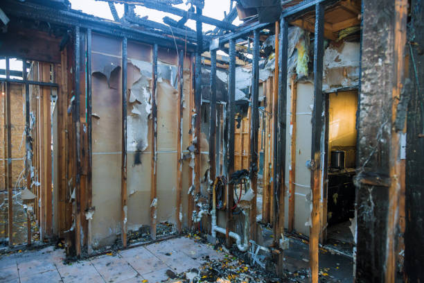 Professional Fire Damage Removal technician working in Frisco, TX